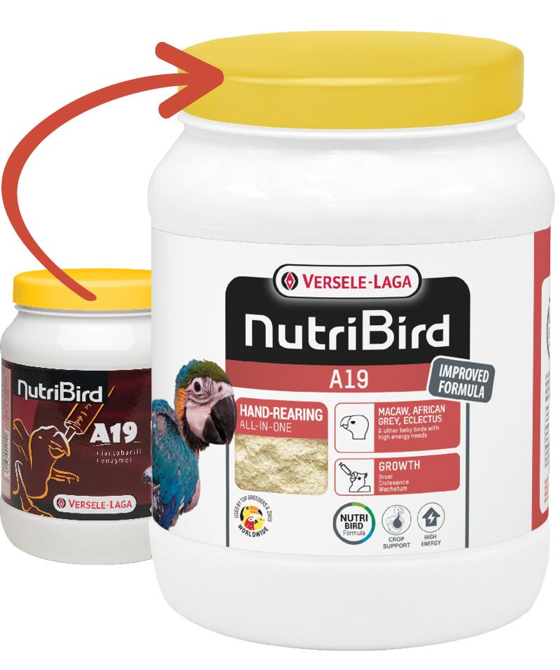 Versele-Laga NutriBird A19 молоко для птенцов крупных попугаев 800 г (221716)